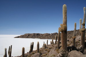 Le Salar d’Uyuni en Bolivie