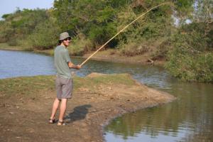 Pêche au pirahnas dans le Pantanal