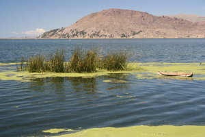 Abords du lac Titicaca
