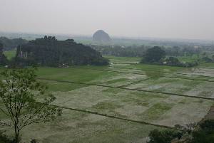 Vue panoramique sur les rizieres